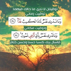 Eng Thaer al kiswani