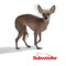 Subwoofer Presents