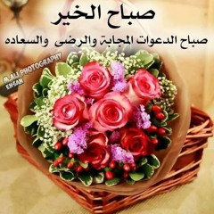 elgamal shop