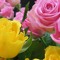 User 23401753