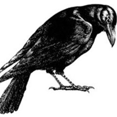 Raven1207