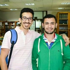 Bahaa El-Ashry
