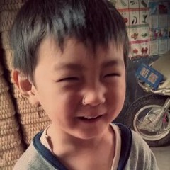 张小盒