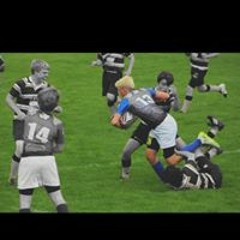 User 146127841
