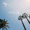 ANALOG