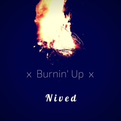 Nived
