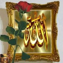 شيخ عمر عبد الكافى