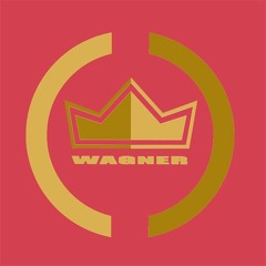 Wagner Araujo