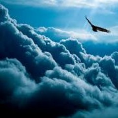 Strangers in the night Frank Sinatra