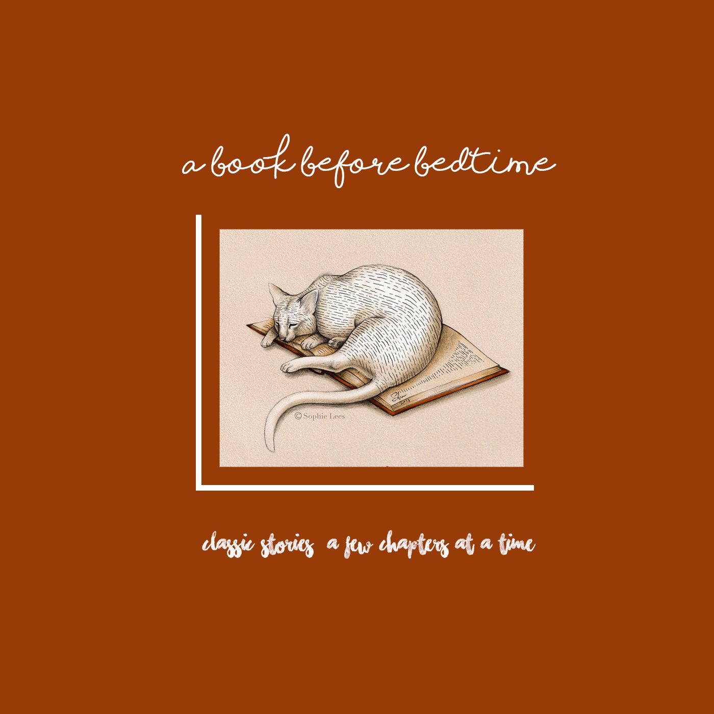A Book Before Bedtime