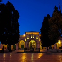 Ibrahim Abdulhafez