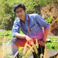 Krishneswar t k