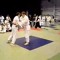 shihanassassin