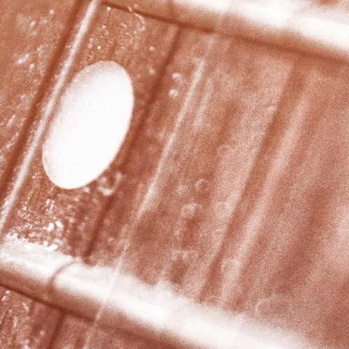 They All Have Legs - Side Window