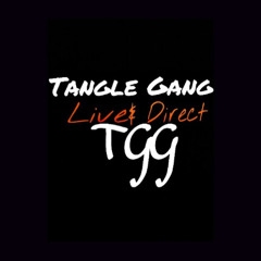 Tangle Gang Live n Allen