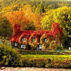 Claudia Carmen Haluca