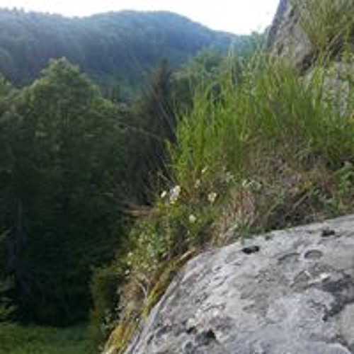 Half Dub Theory - My Own