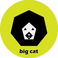 bigcat-official