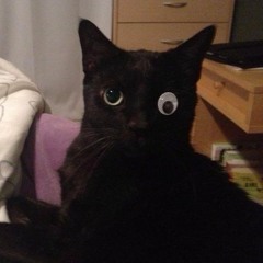 lostcat420