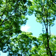 satoko