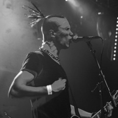 Pelikanen