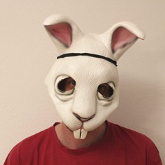follow_the_white_rabbit