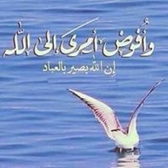 بكره أحلي