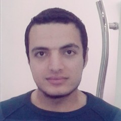 Ahmad Elewady