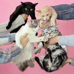 Directed by Larry Clark