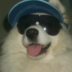 Interesting Productions