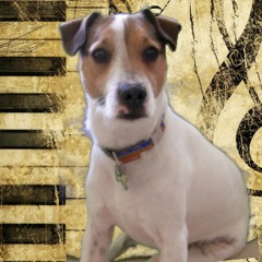 Matt Wakefield Music