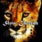 Slow Cheetah