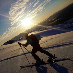 Steffen