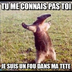 Mark Olivier Faugiel