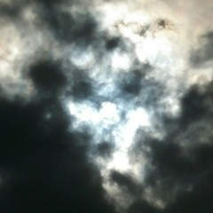 Long Genes Thalastrappa