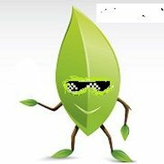 Chief Leaf