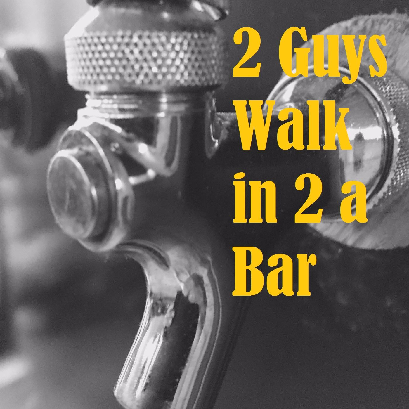 2 Guys Walk in 2 a Bar