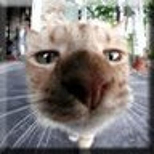 2016 - 06 - 16 - Osoboe - 1908