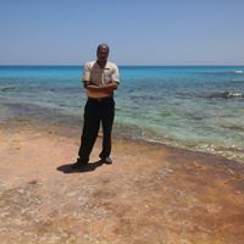 الفار السندق