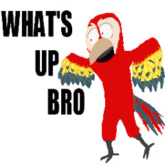 The Upload
