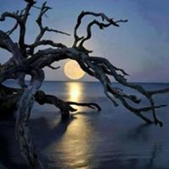 عبود الراحل