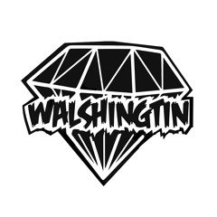 Walshingtin - Cant Stop The Party