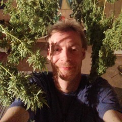 Henrik Berg Pedersen