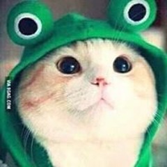 Ng.tthanh