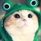 Ng.tthanh