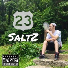 SaltZ