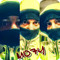 mohy Eldeen