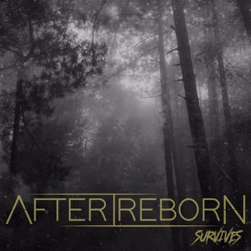Stream After I Reborn music Listen to songs, albums, playlists for free on SoundCloud