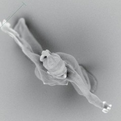 Xx_GregLittleBeats_xX