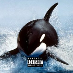Yung Shamu